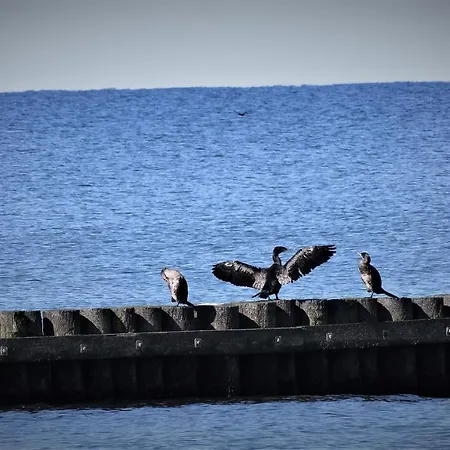 By The Sea Lägenhet