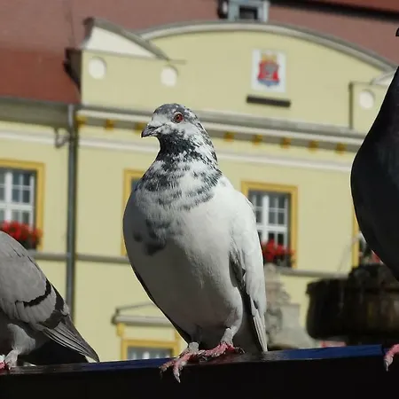 Apartment By The Sea Darłówko