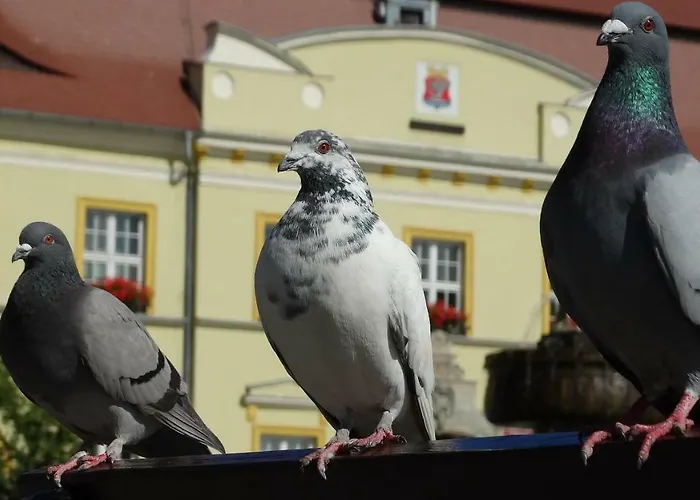 Appartamento By The Sea Darlowko