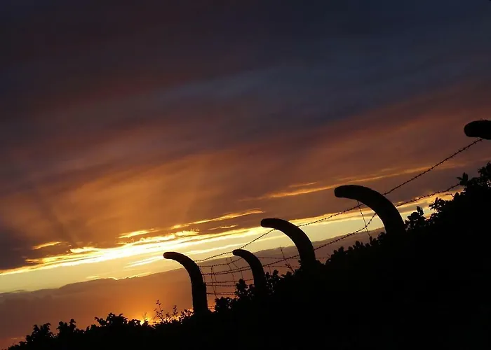 By The Sea Daire Darlowko